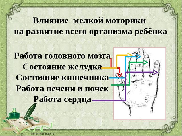 Презентация на тему: "Развитие мелкой моторики рук у дошкольников"