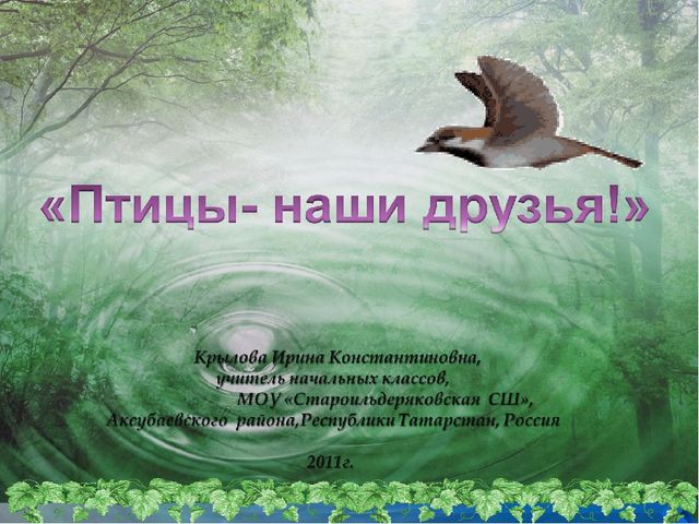 Презентация по ознакомлению с окружающим "Птицы- наши друзья"