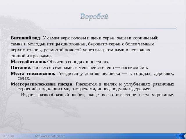Презентация по ознакомлению с окружающим "Птицы- наши друзья"