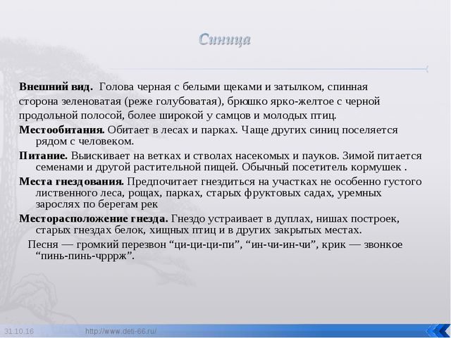 Презентация по ознакомлению с окружающим "Птицы- наши друзья"