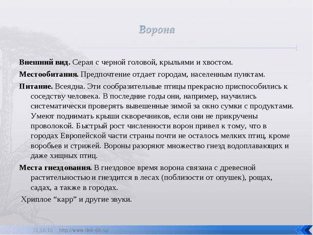 Презентация по ознакомлению с окружающим "Птицы- наши друзья"