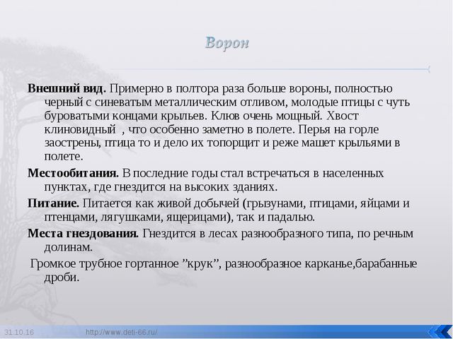 Презентация по ознакомлению с окружающим "Птицы- наши друзья"