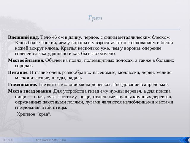 Презентация по ознакомлению с окружающим "Птицы- наши друзья"