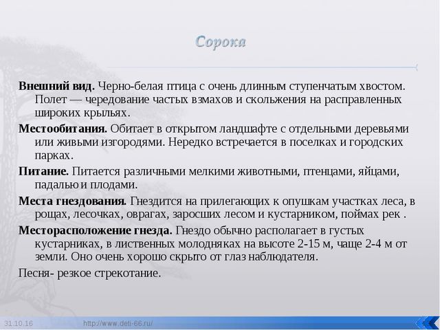 Презентация по ознакомлению с окружающим "Птицы- наши друзья"