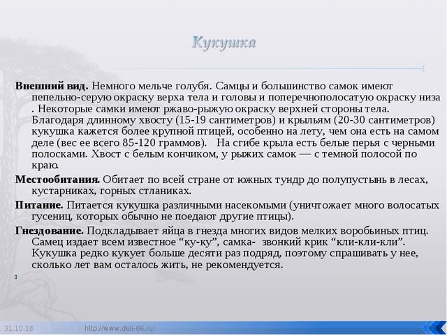Презентация по ознакомлению с окружающим "Птицы- наши друзья"