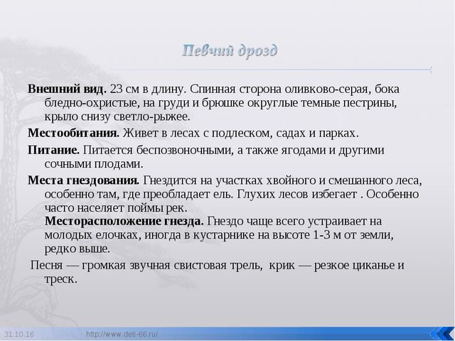 Презентация по ознакомлению с окружающим "Птицы- наши друзья"