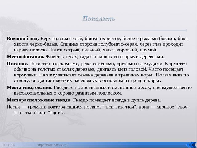 Презентация по ознакомлению с окружающим "Птицы- наши друзья"
