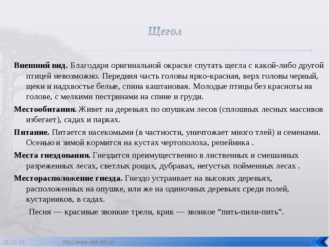 Презентация по ознакомлению с окружающим "Птицы- наши друзья"