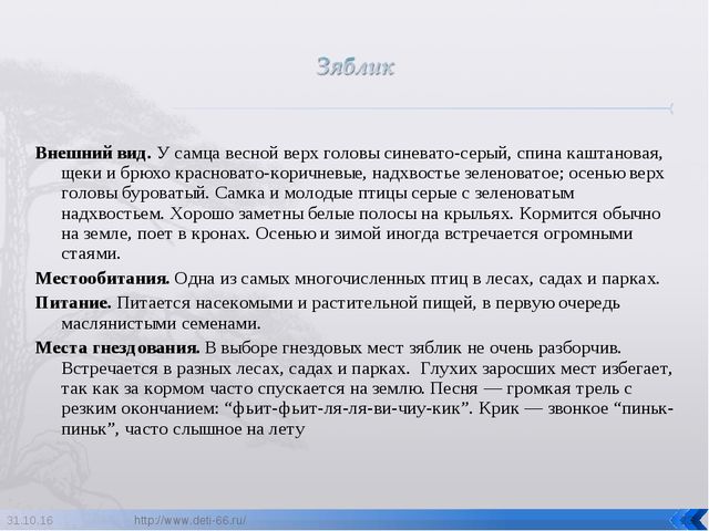 Презентация по ознакомлению с окружающим "Птицы- наши друзья"