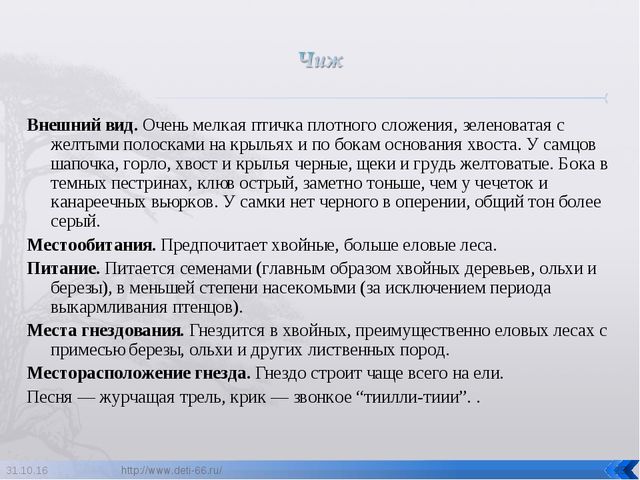 Презентация по ознакомлению с окружающим "Птицы- наши друзья"