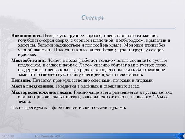 Презентация по ознакомлению с окружающим "Птицы- наши друзья"