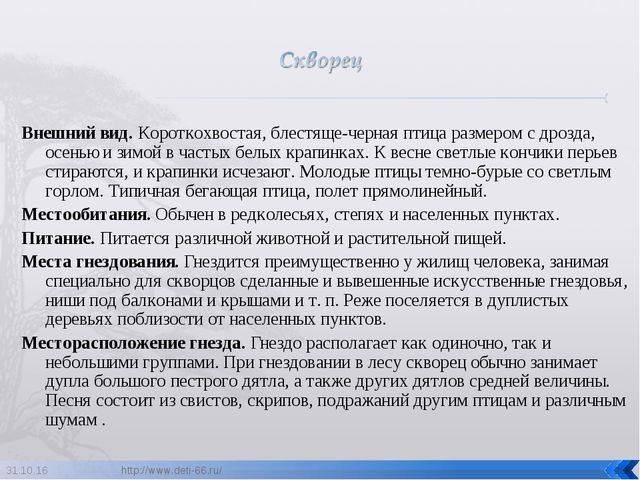 Презентация по ознакомлению с окружающим "Птицы- наши друзья"