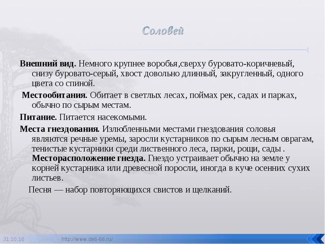 Презентация по ознакомлению с окружающим "Птицы- наши друзья"