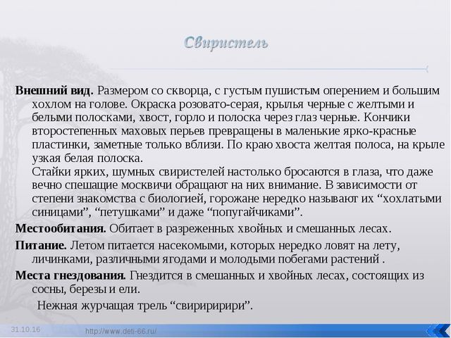 Презентация по ознакомлению с окружающим "Птицы- наши друзья"