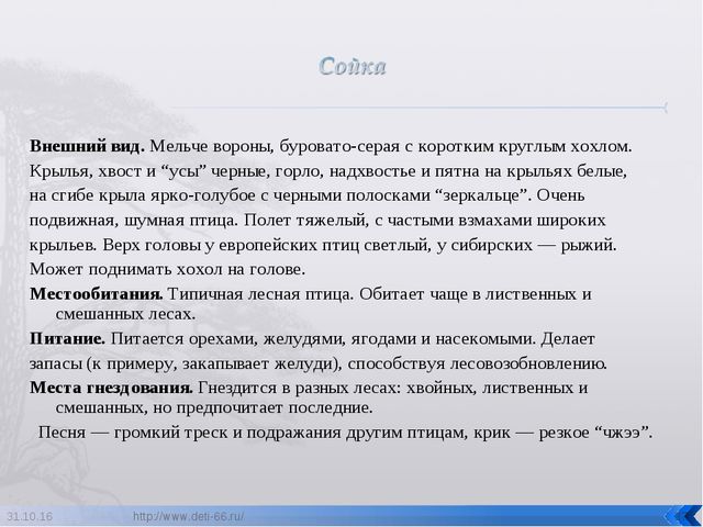 Презентация по ознакомлению с окружающим "Птицы- наши друзья"