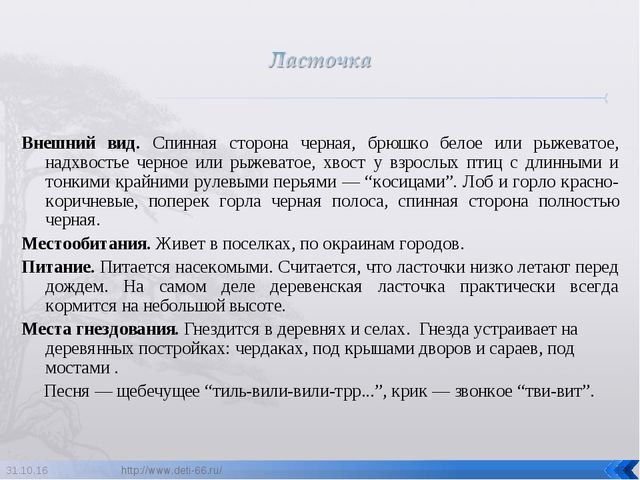 Презентация по ознакомлению с окружающим "Птицы- наши друзья"