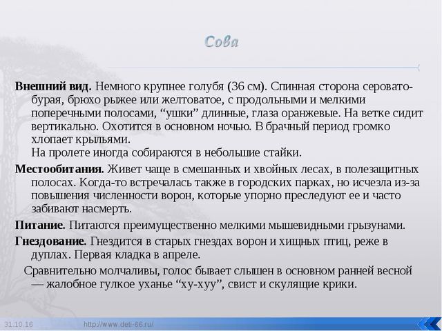 Презентация по ознакомлению с окружающим "Птицы- наши друзья"