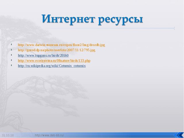 Презентация по ознакомлению с окружающим "Птицы- наши друзья"