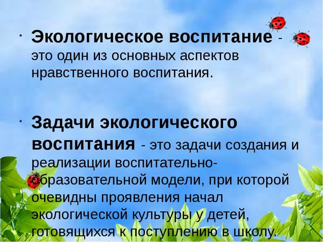 Презентация "Формирование бережного отношения к природе в процессе экологического воспитания у детей старшего дошкольного возраста"