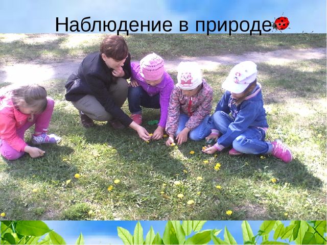 Презентация "Формирование бережного отношения к природе в процессе экологического воспитания у детей старшего дошкольного возраста"