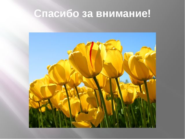 Презентация на тему "Один день из жизни нашей группы"