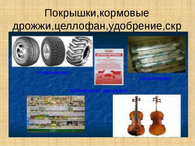 Презентация научно-исследовательского проекта "Ель-хвойное дерево"