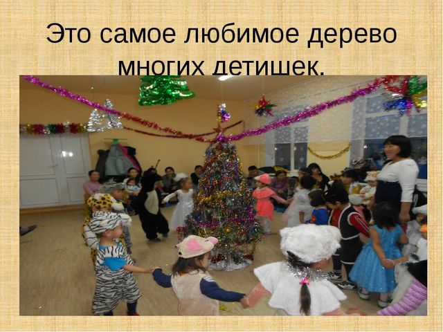 Презентация научно-исследовательского проекта "Ель-хвойное дерево"