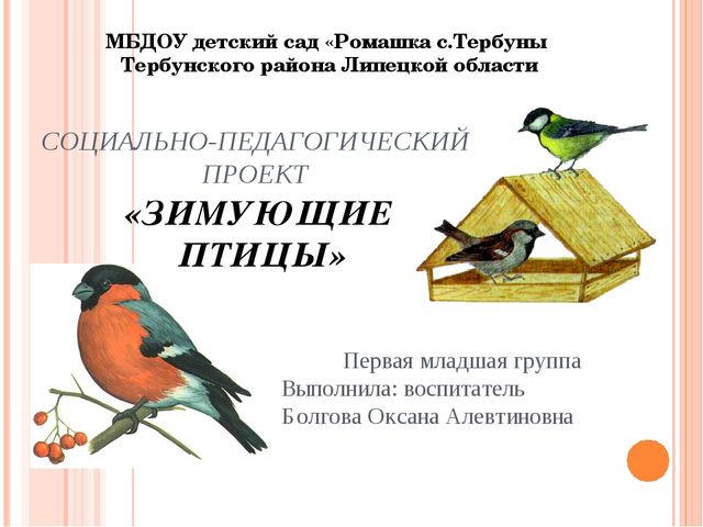 Социально-педагогический проект для первой младшей группы "Зимующие птицы"