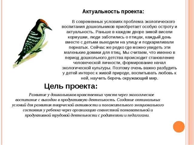 Социально-педагогический проект для первой младшей группы "Зимующие птицы"