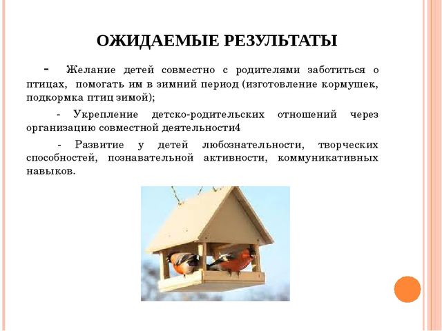 Социально-педагогический проект для первой младшей группы "Зимующие птицы"