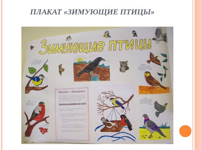 Социально-педагогический проект для первой младшей группы "Зимующие птицы"