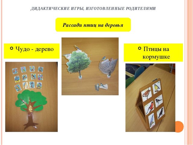 Социально-педагогический проект для первой младшей группы "Зимующие птицы"