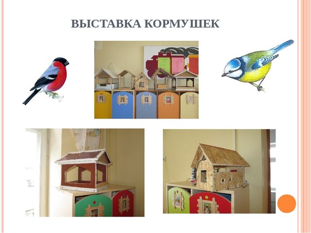 Социально-педагогический проект для первой младшей группы "Зимующие птицы"