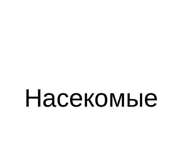 Презентация для обучающихся подготовительной группы " Насекомые"