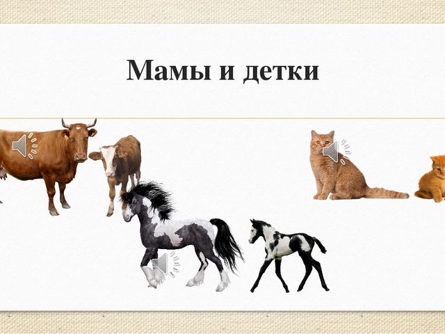 Презентация "Мамы и детки (домашние животные)"