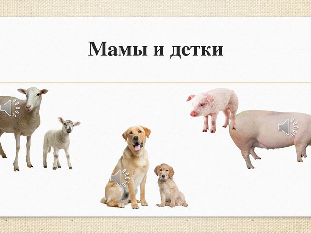 Презентация "Мамы и детки (домашние животные)"