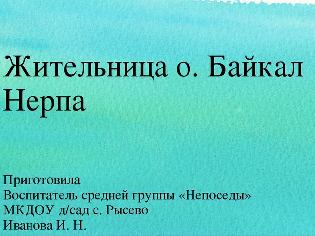 Презентация "Жительница о. Байкал нерпа"