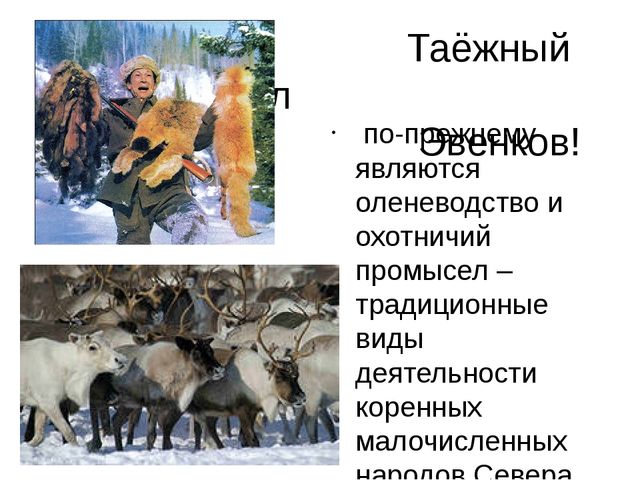 Презентация к проекту "Народы Севера"