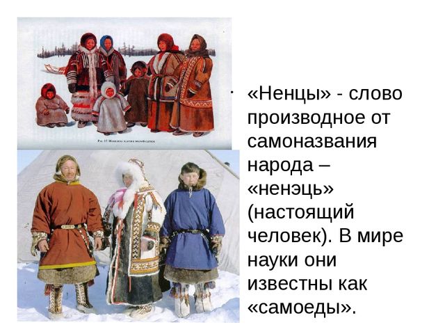 Презентация к проекту "Народы Севера"