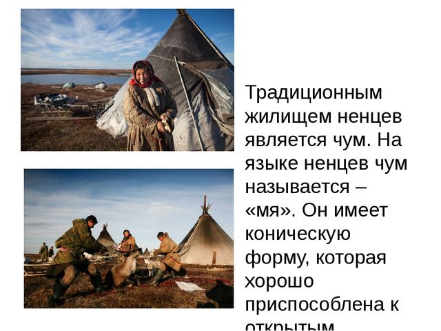 Презентация к проекту "Народы Севера"