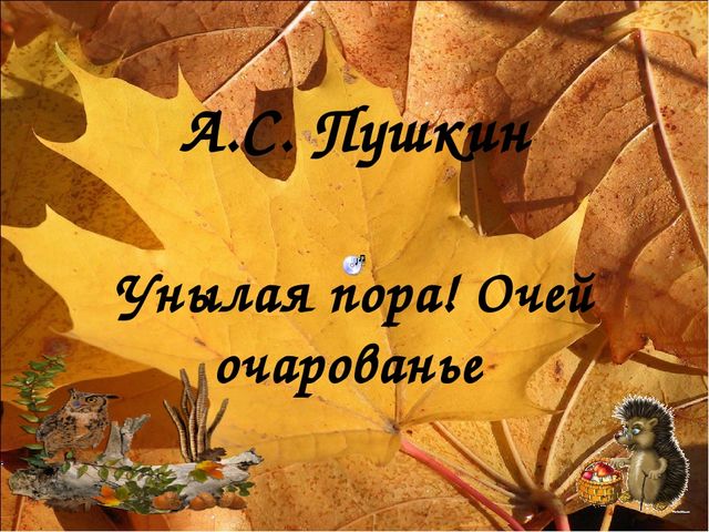 Презентация к заучиванию стихотворения А.С.Пушкина "Унылая пора" в подготовительной группе
