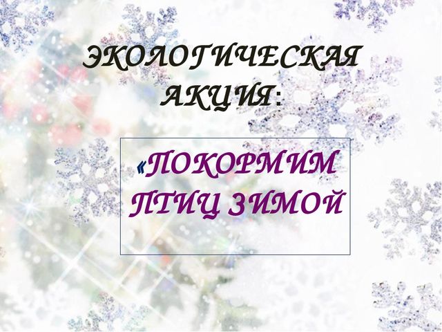 Экологическая акция: "Покормим птиц зимой"