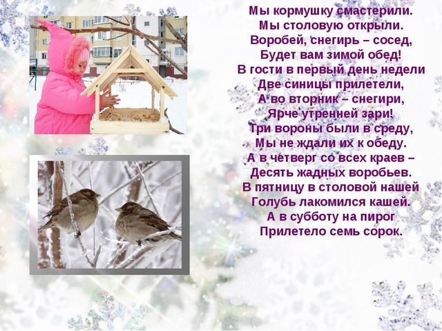 Экологическая акция: "Покормим птиц зимой"