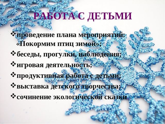 Экологическая акция: "Покормим птиц зимой"