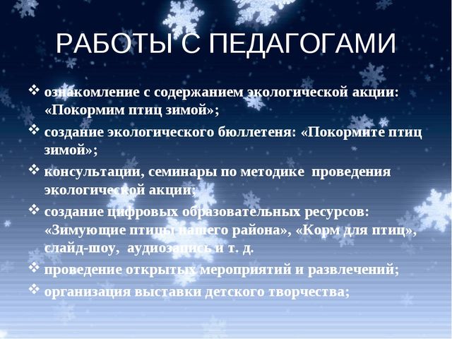 Экологическая акция: "Покормим птиц зимой"