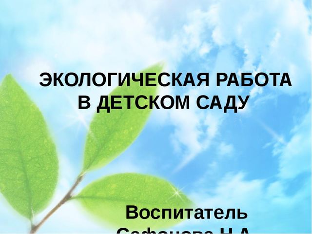 Презентация. Экологическая деятельность в детском саду.