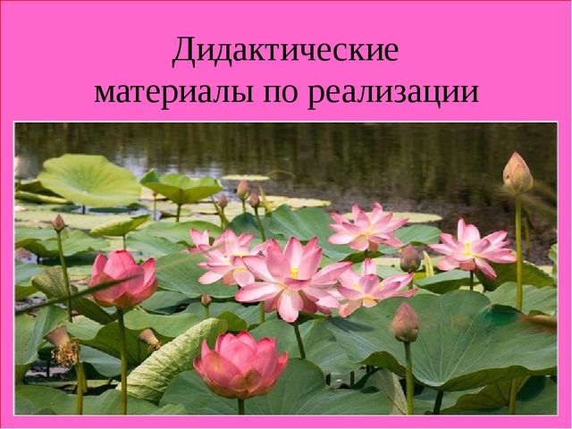 Дидактические материалы по реализации национального компонента