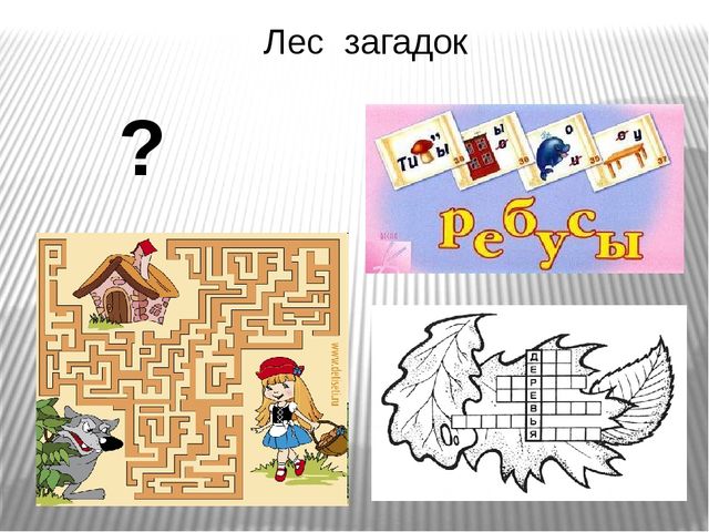 Презентация.Интеллектуальное развитие дошкольников через логико-математические игры.