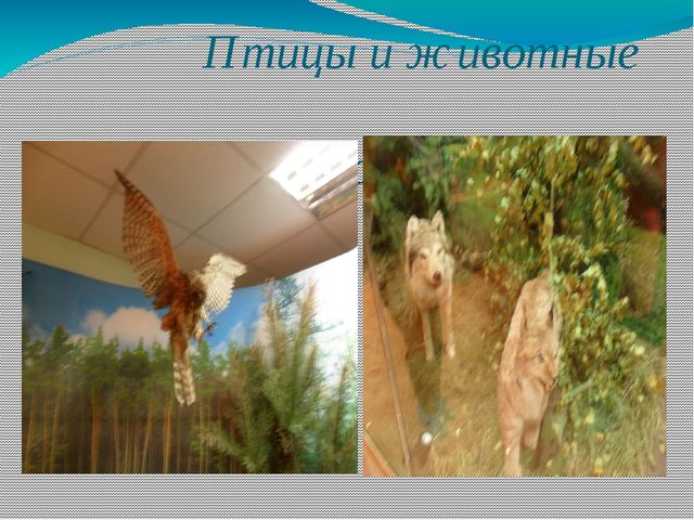 Презентация "Отчетная работа после пребывания на курсах повышения квалификации"