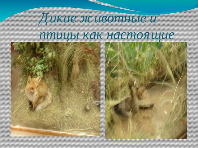 Презентация "Отчетная работа после пребывания на курсах повышения квалификации"
